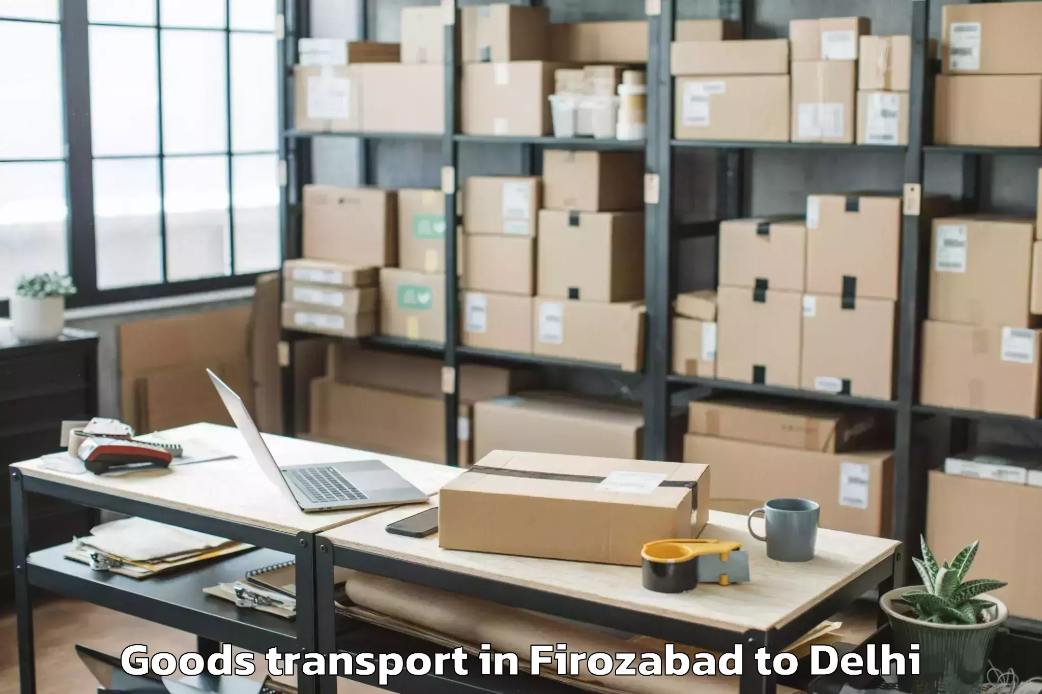 Expert Firozabad to University Of Delhi Goods Transport